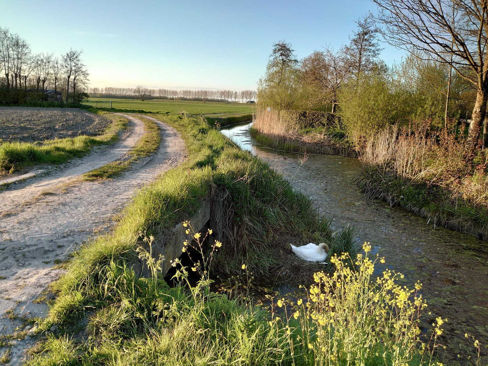 's-Gravendeel