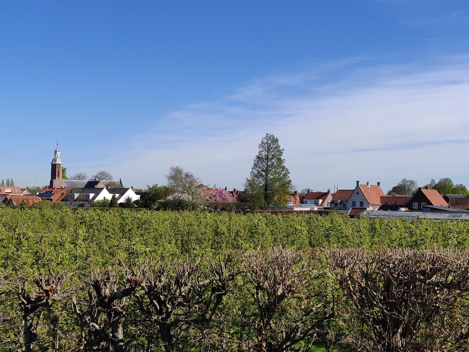 's-Gravenpolder