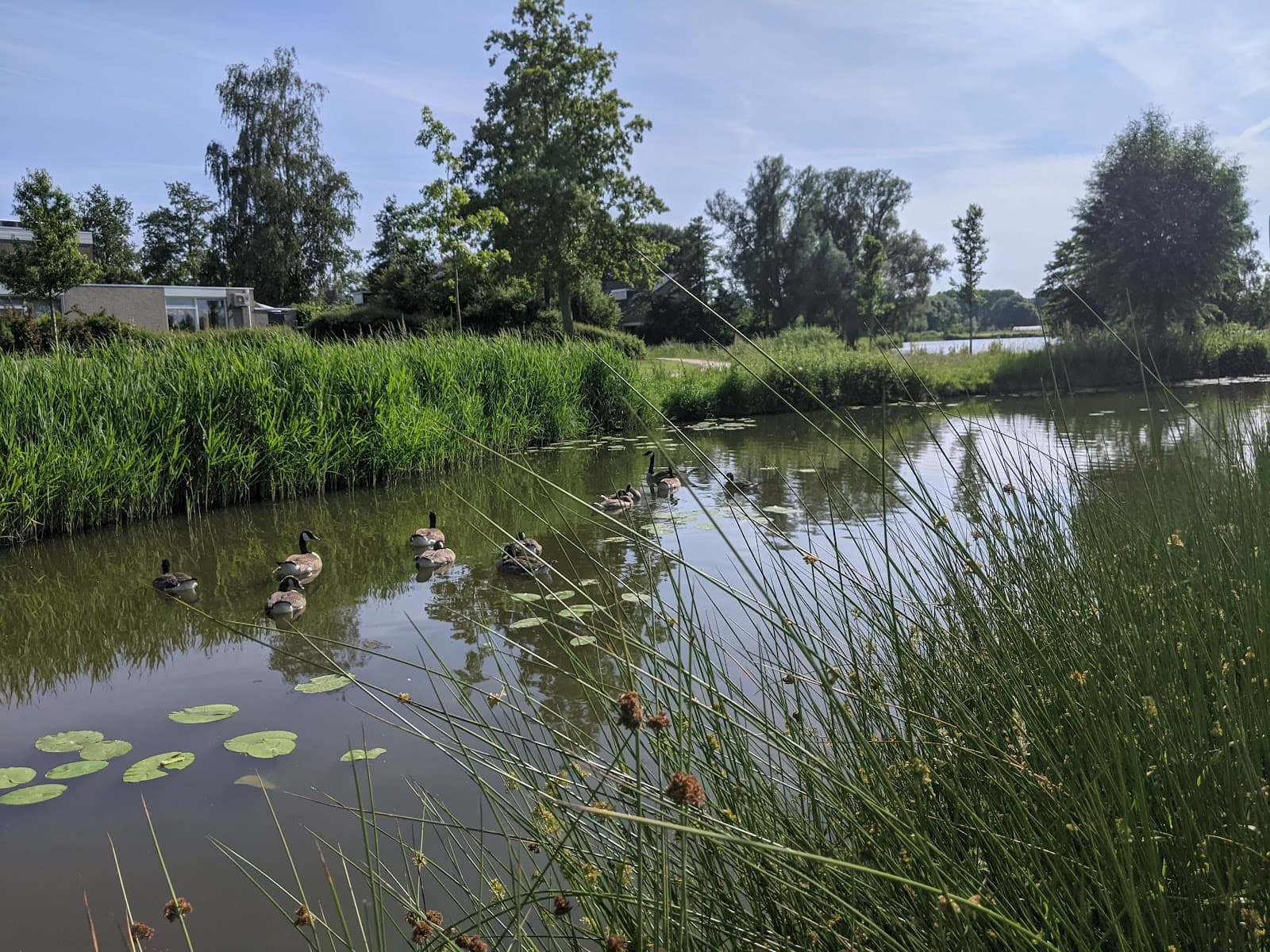 Overijssel
