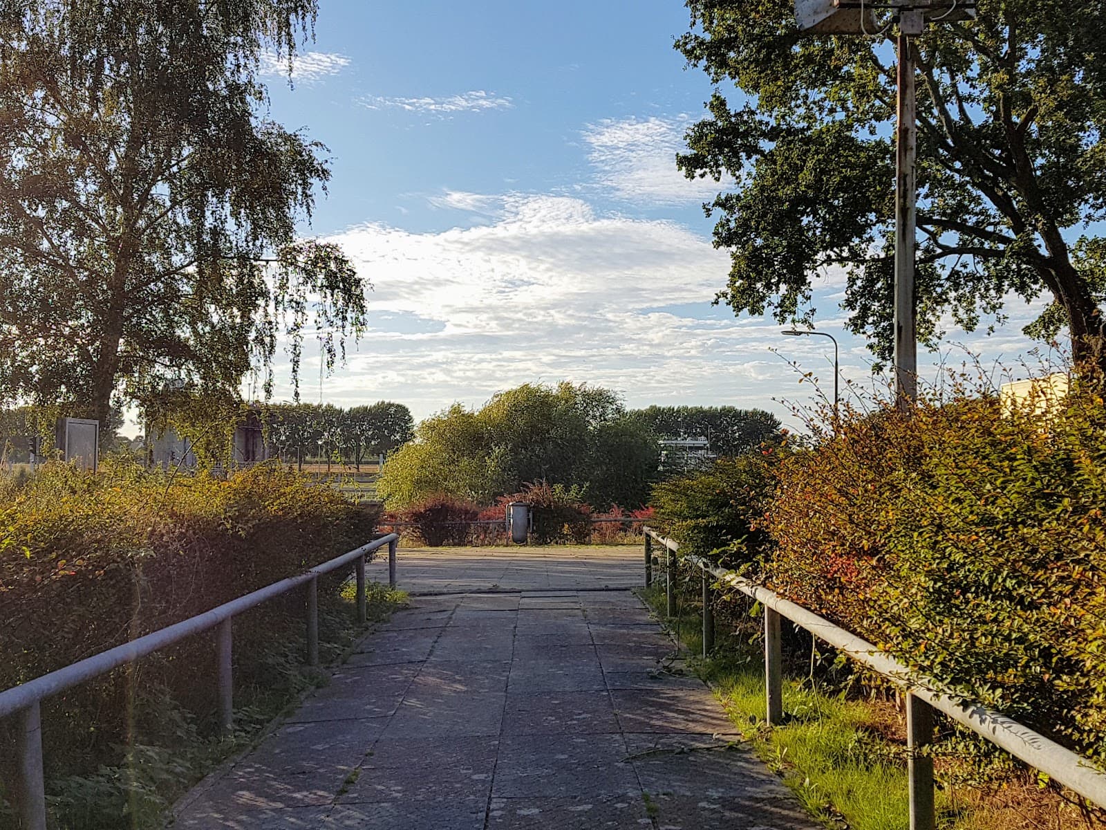 Belfeld