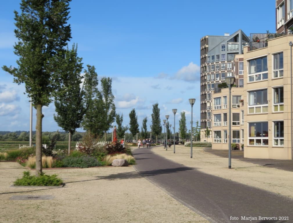 Doesburg