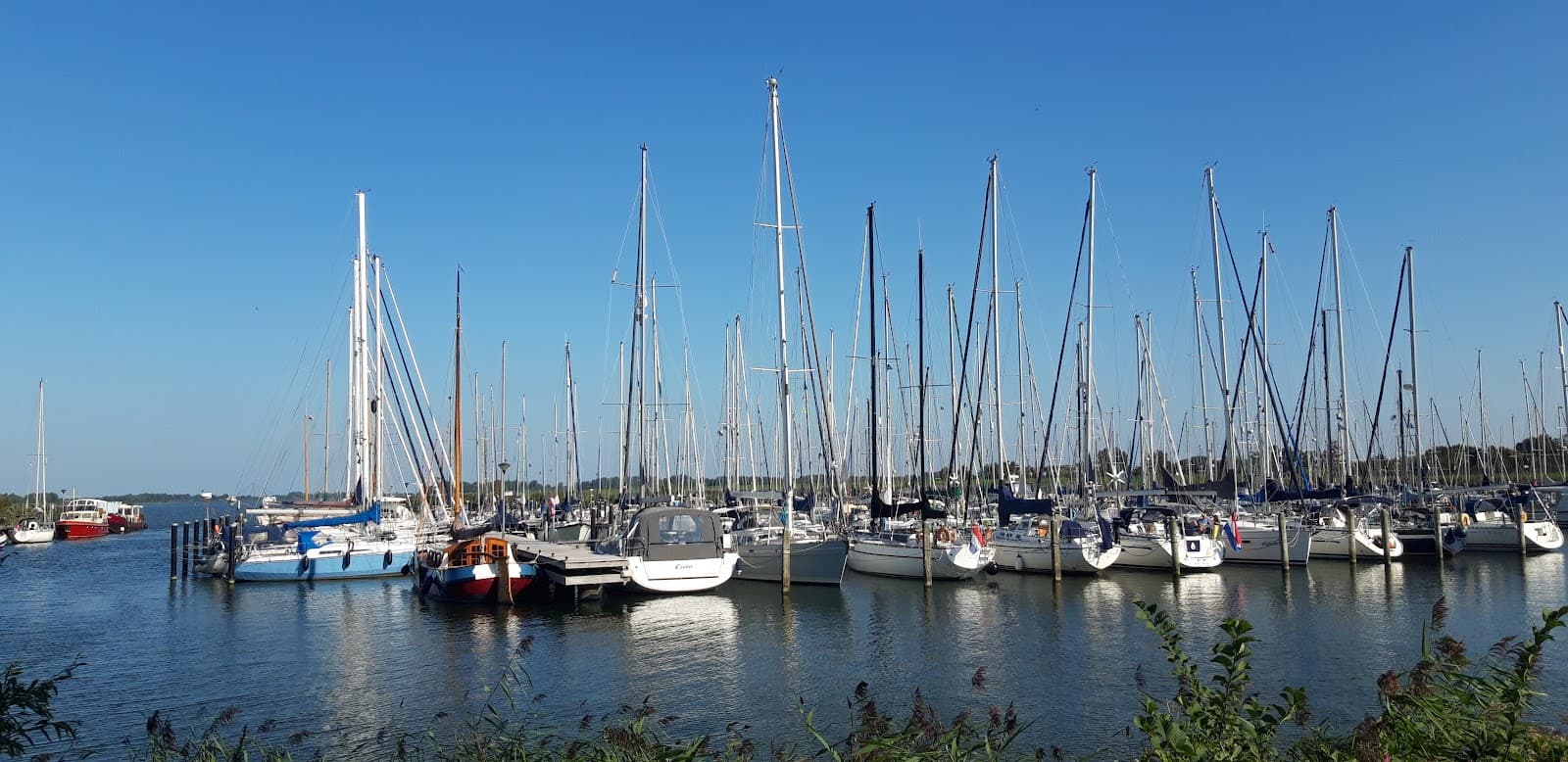 Dronten