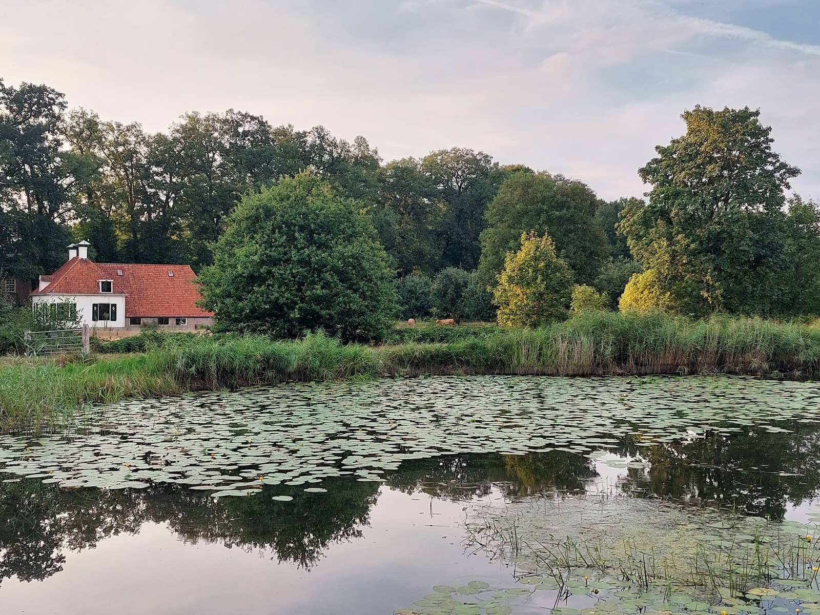 Heerde