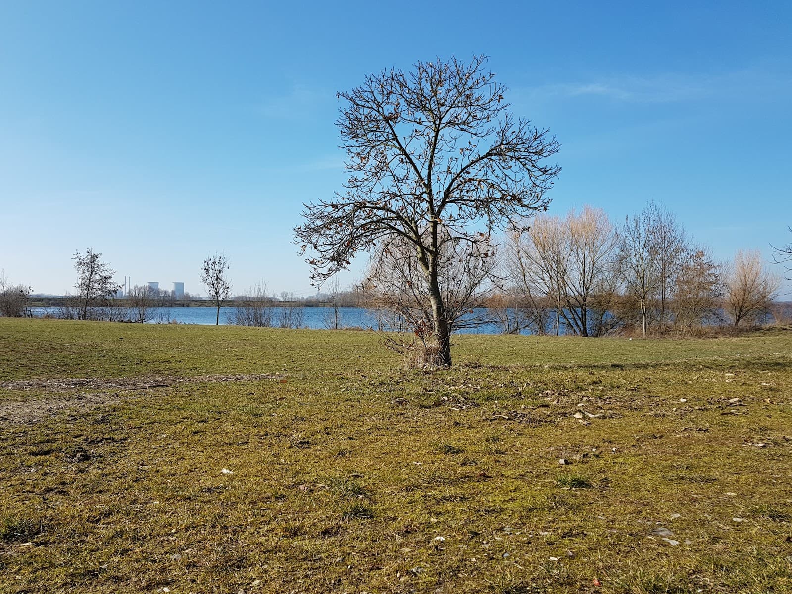 Herten