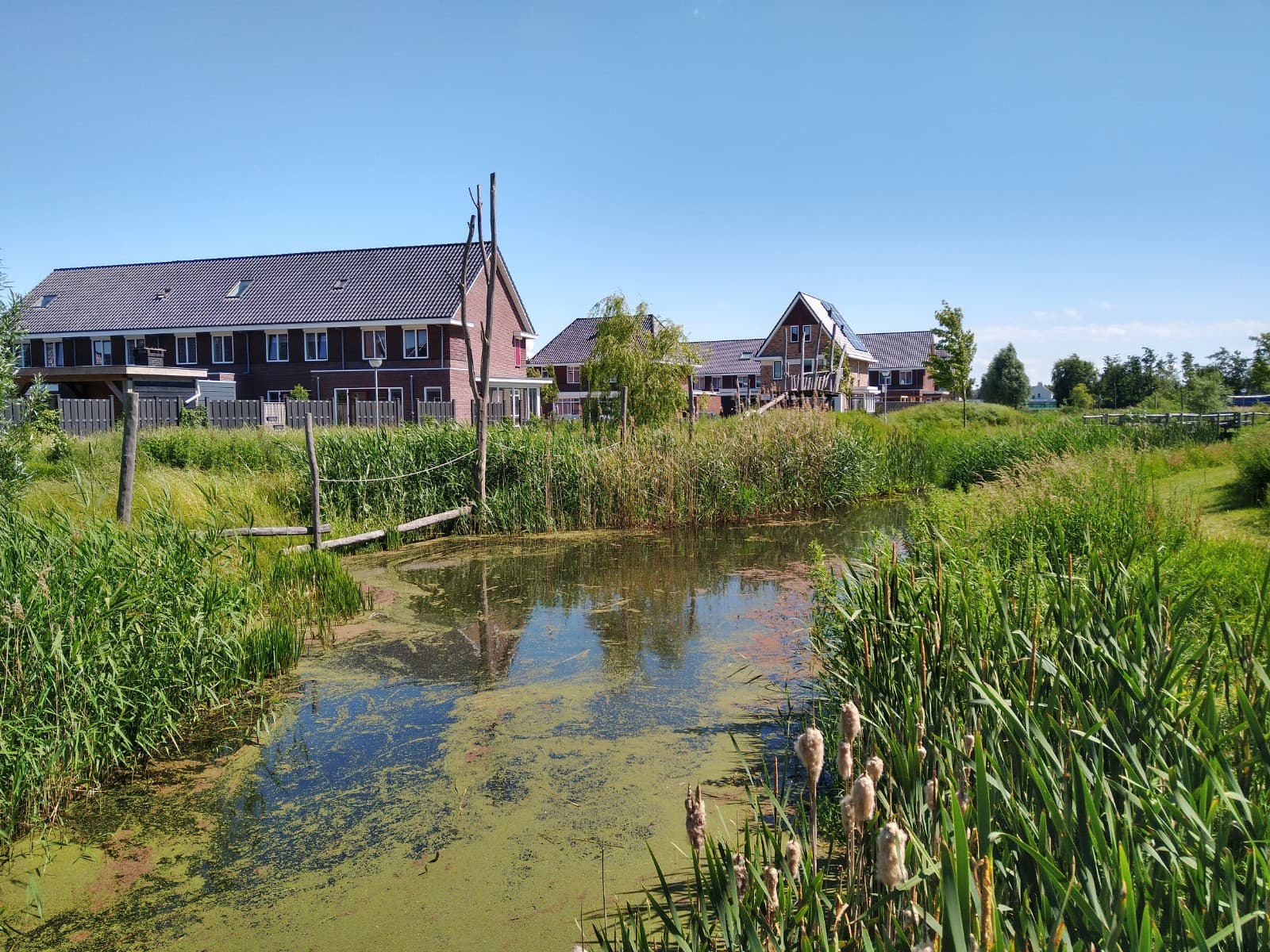 Hoogkarspel