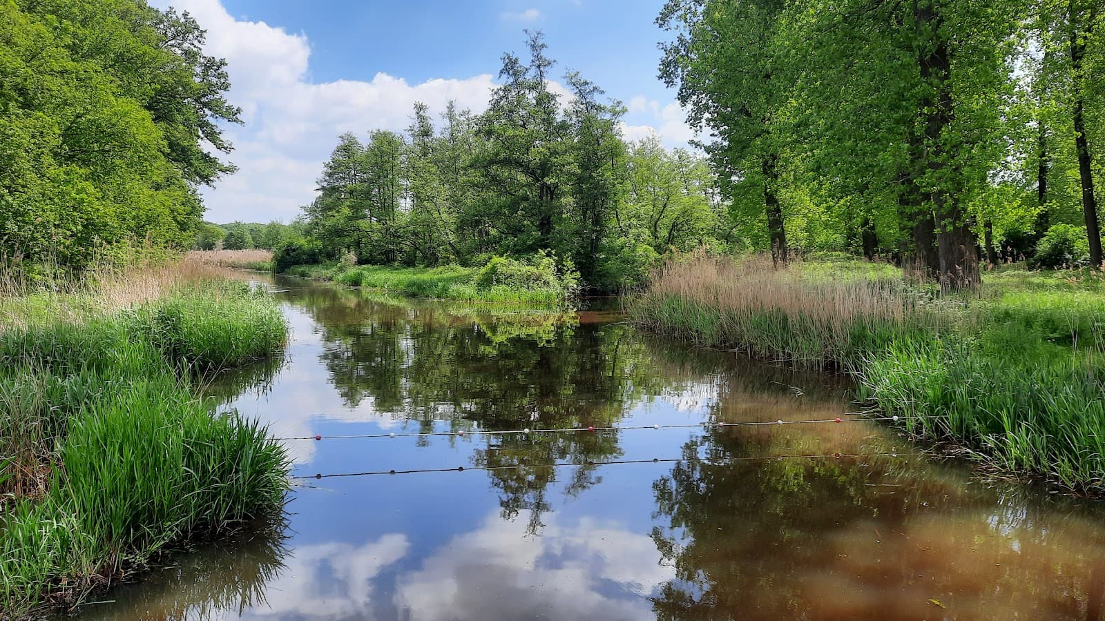 Langenboom