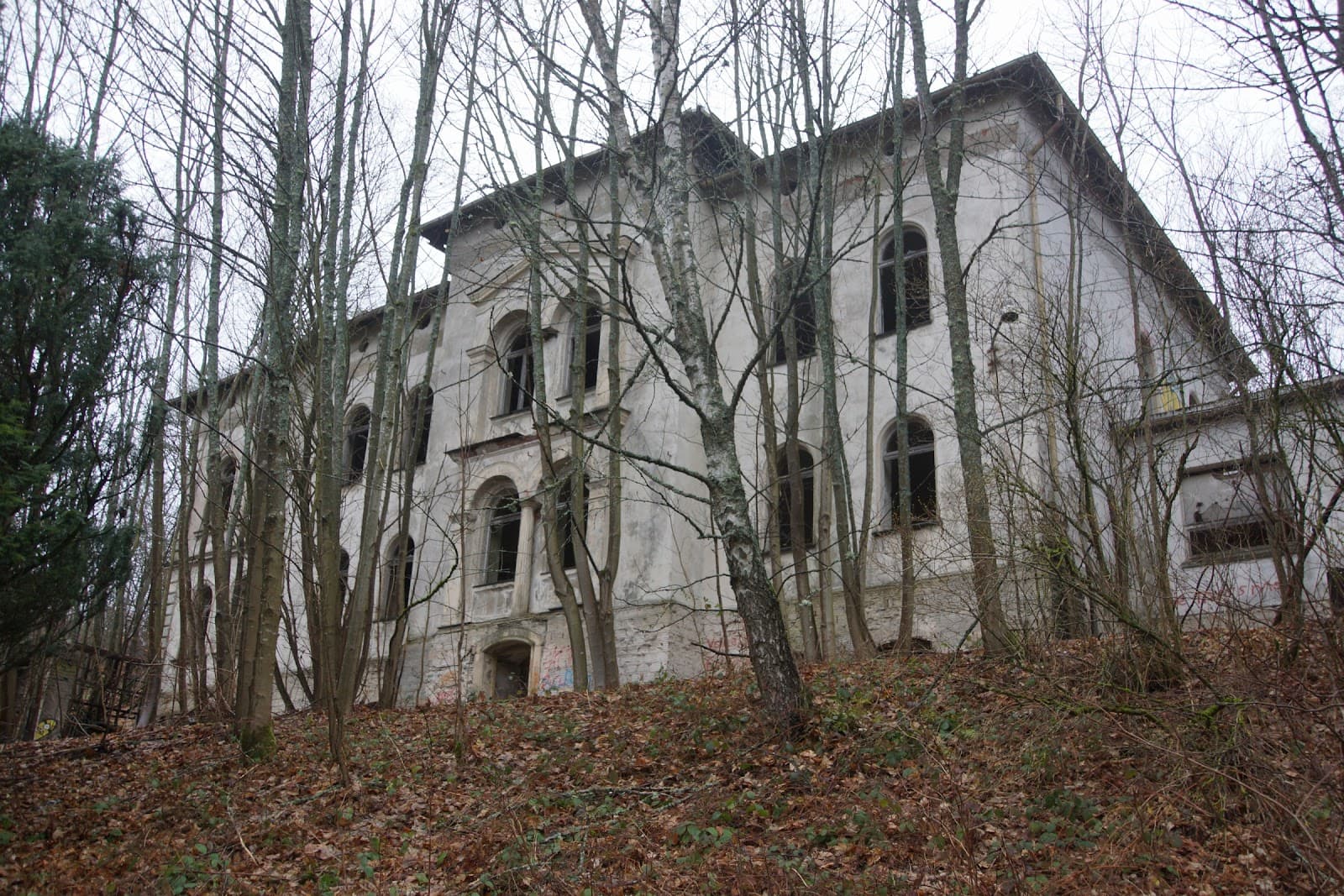 Leesten