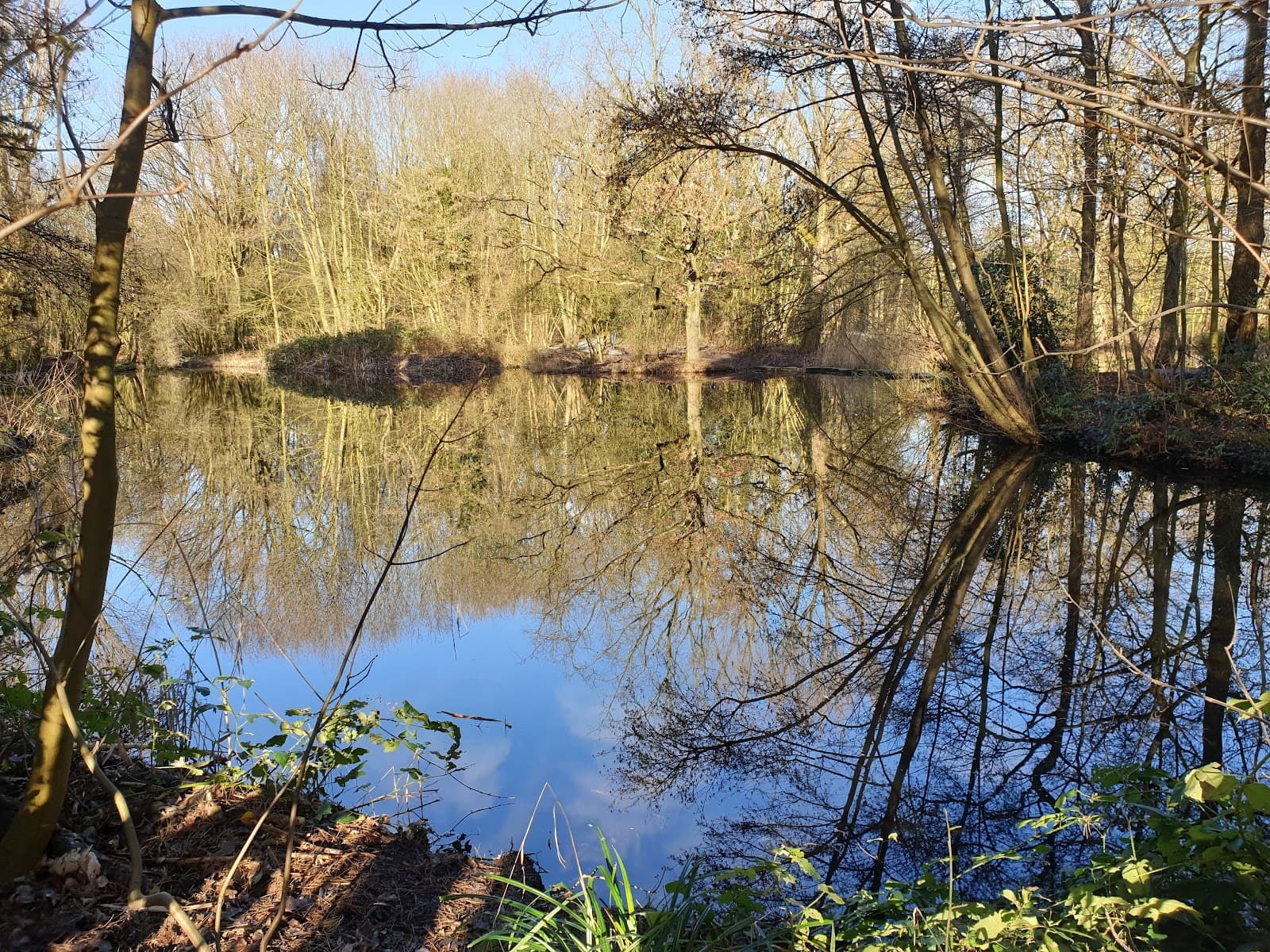 Merenwijk