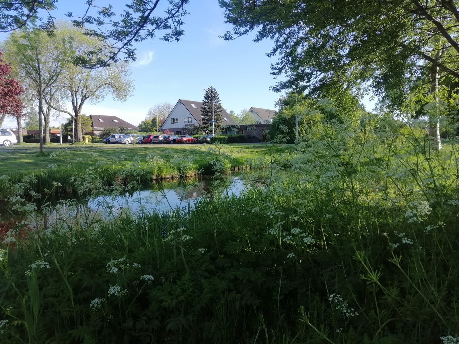 Nieuw-Vennep