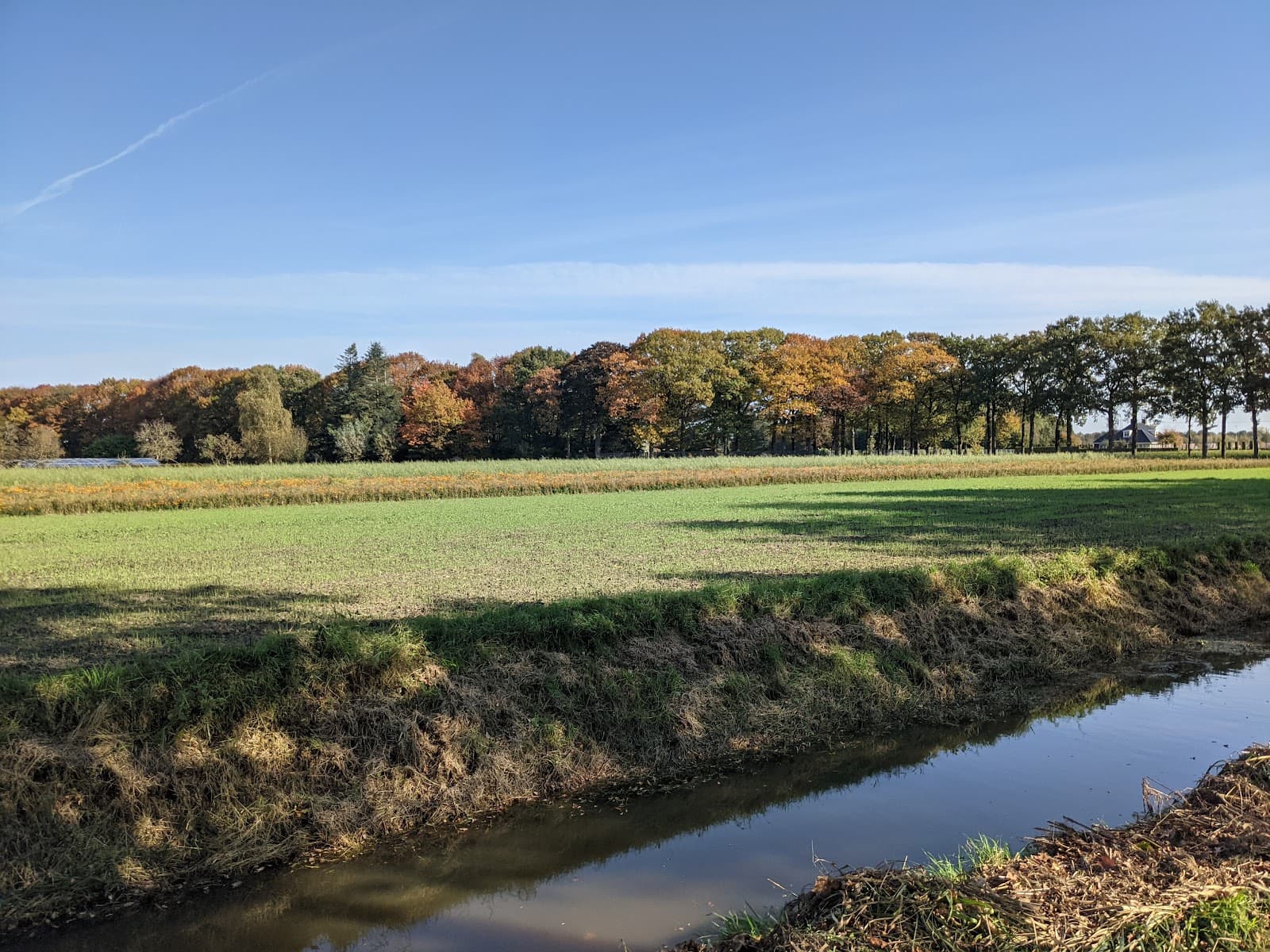 Prinsenbeek