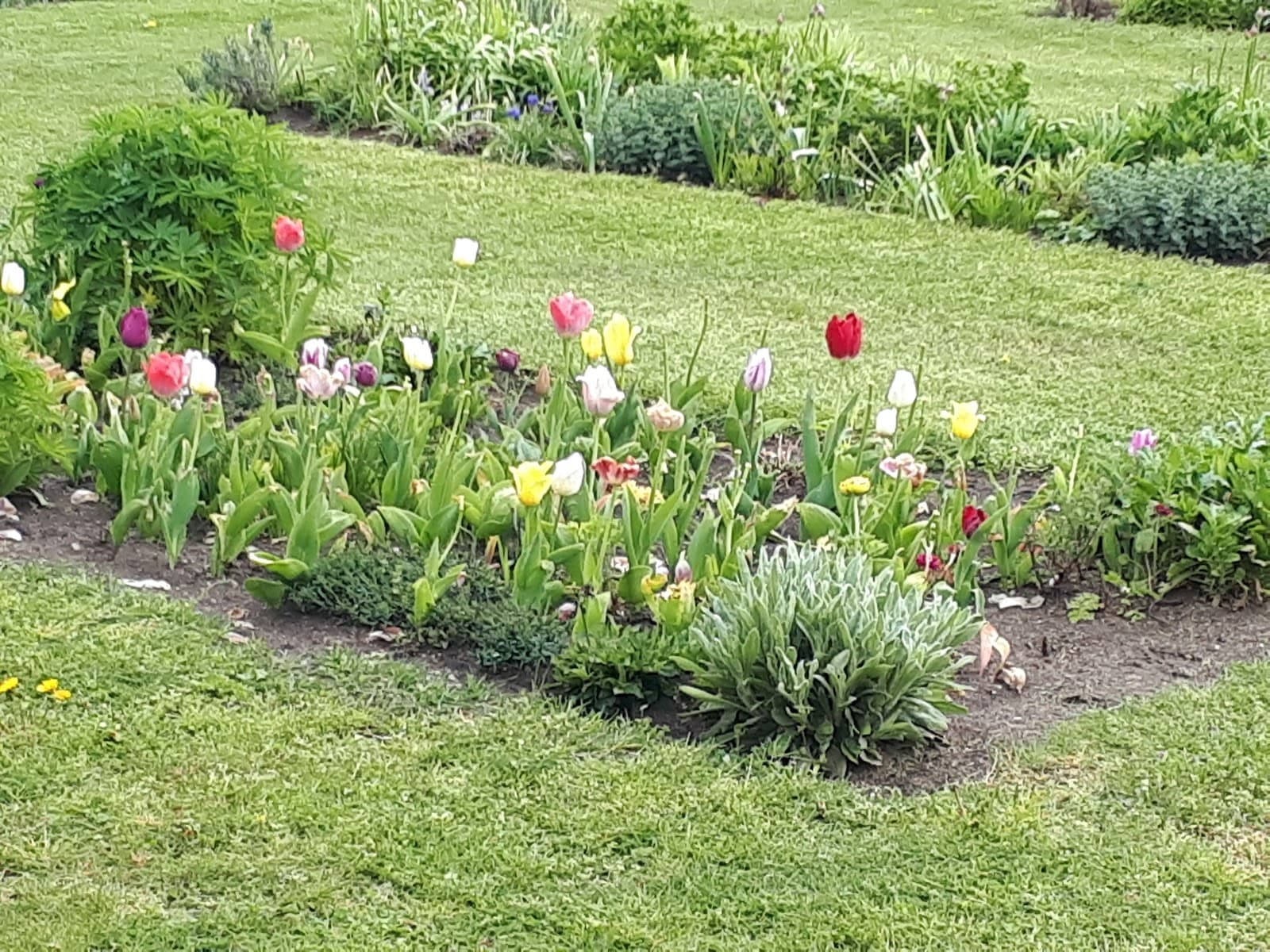 Putten