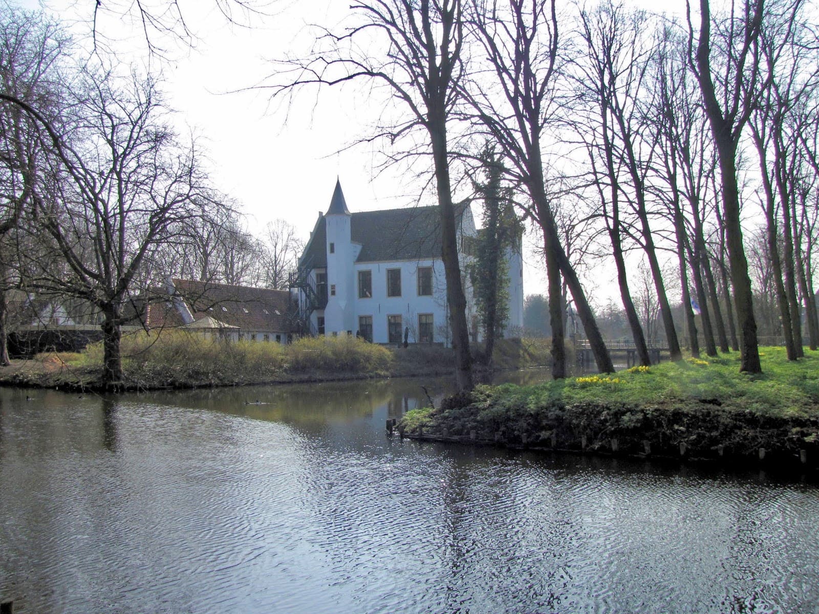 Rhoon