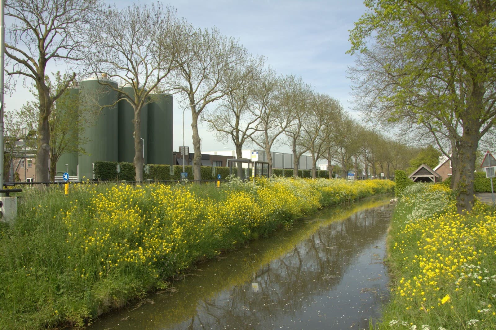 Schoonrewoerd