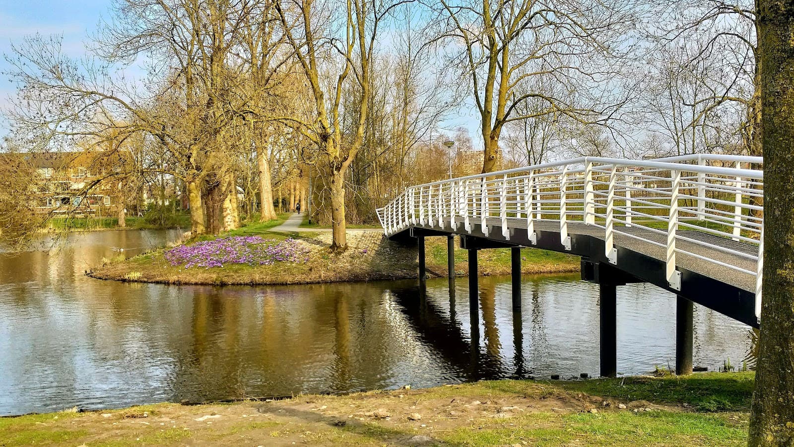 Selwerd