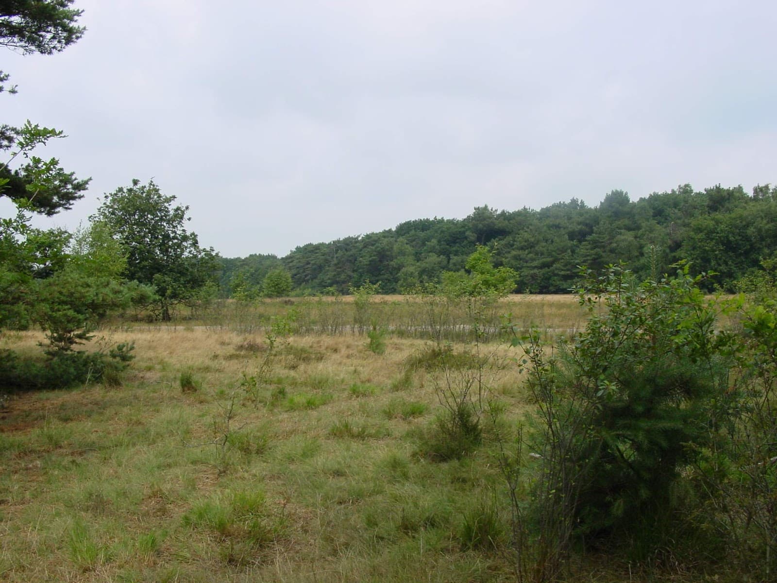Uden