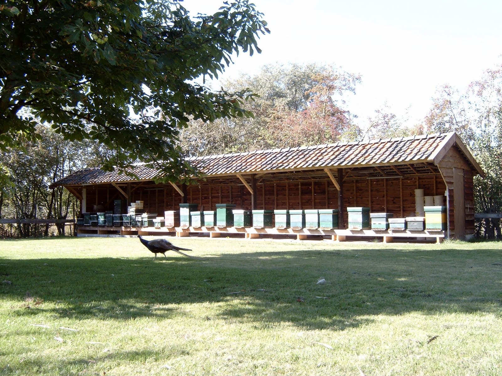 Valburg