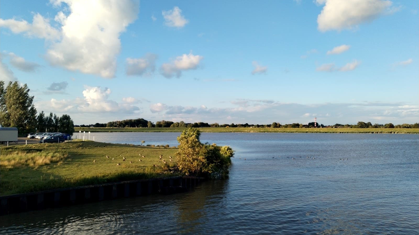 Wisch