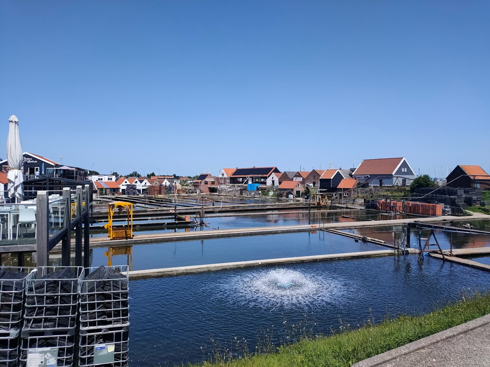 Yerseke