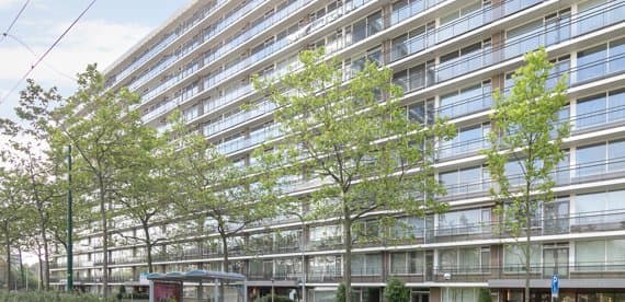 Rijswijk, South Holland 