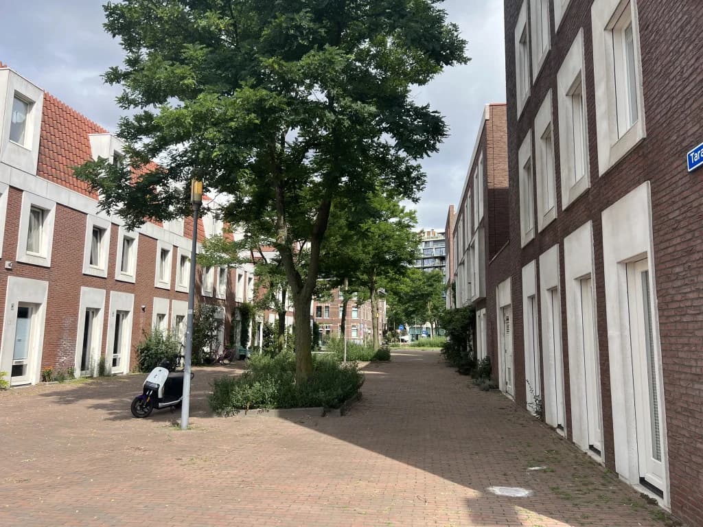Rotterdam, South Holland 