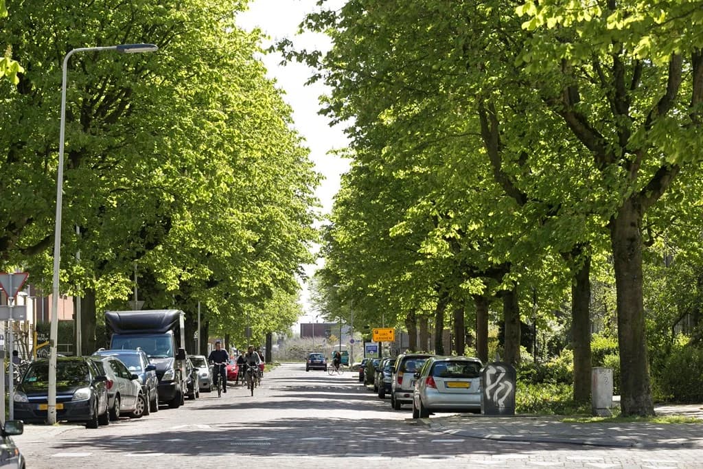 Arnhem, Gelderland 