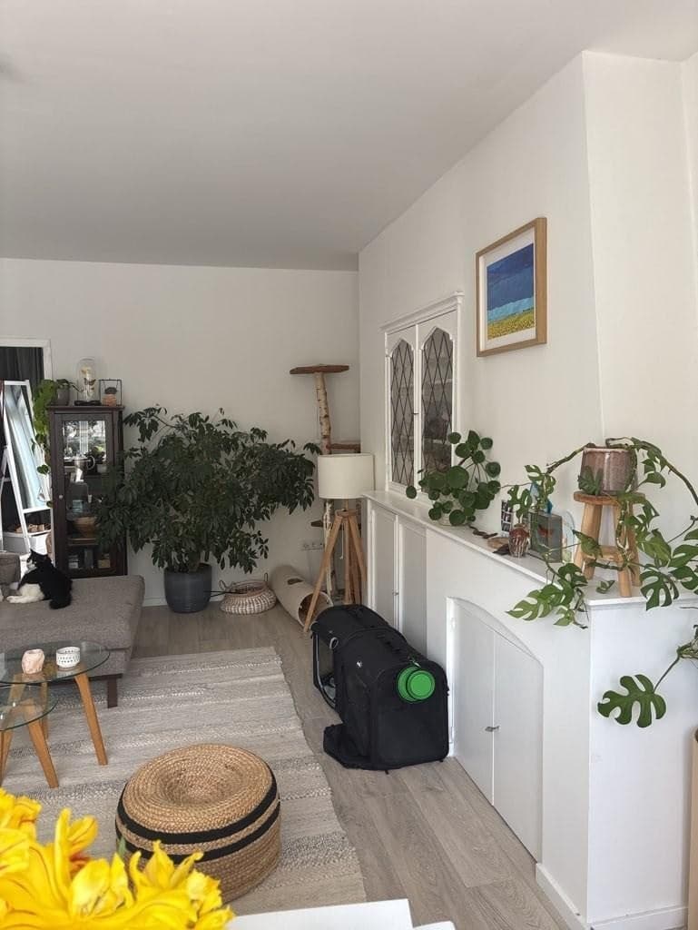 Oegstgeest, South Holland 