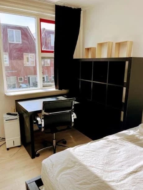 Amsterdam, North Holland 