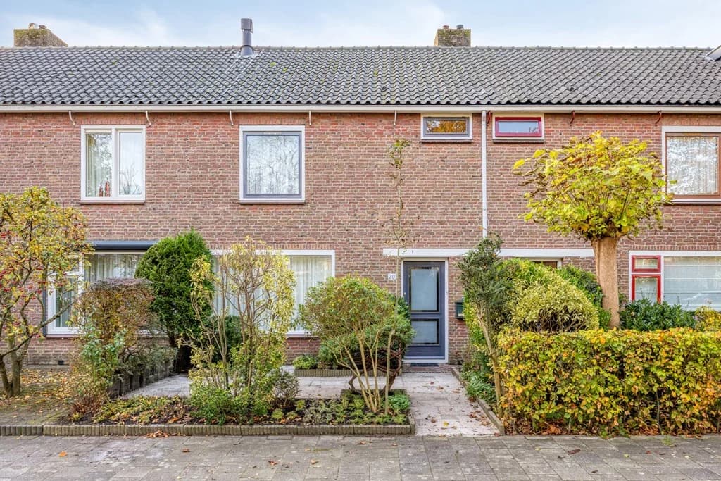 Aalsmeer, North Holland 