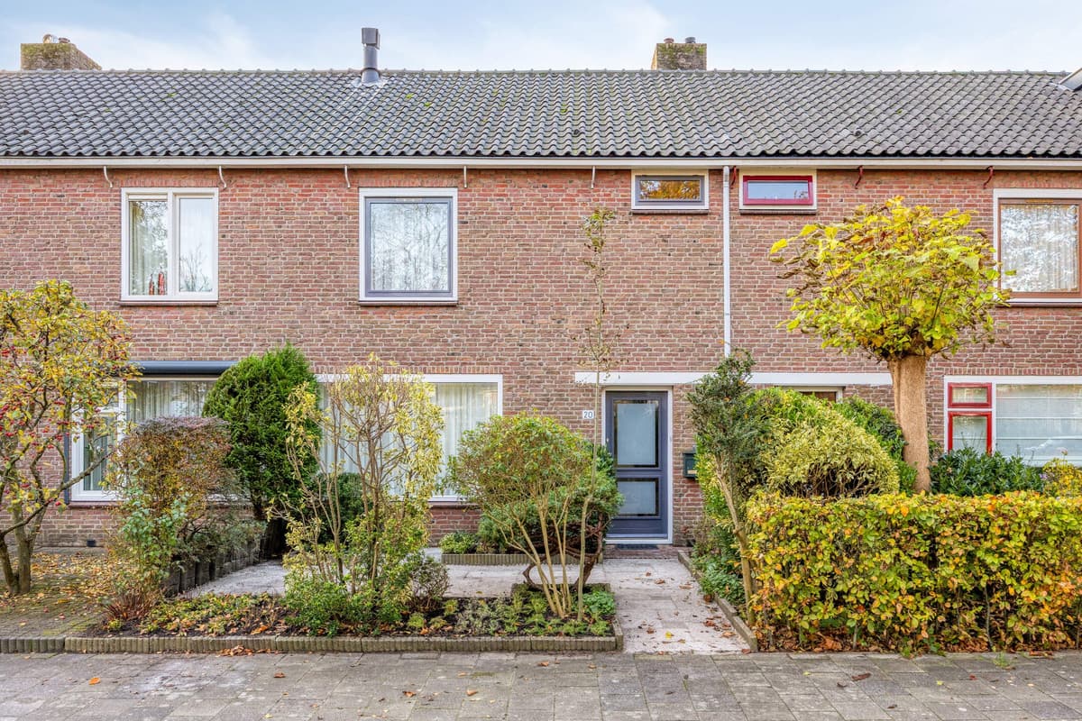 Aalsmeer, North Holland 