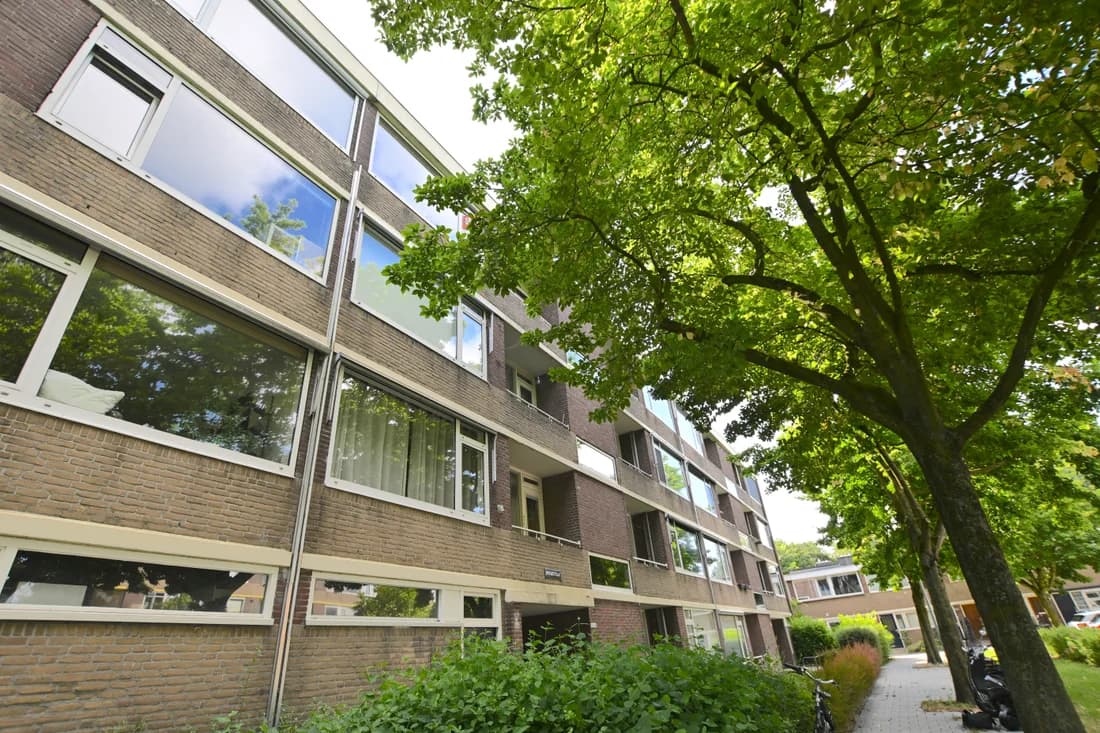 Groningen, Groningen 
