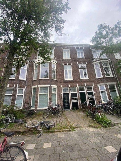 Groningen, Groningen 