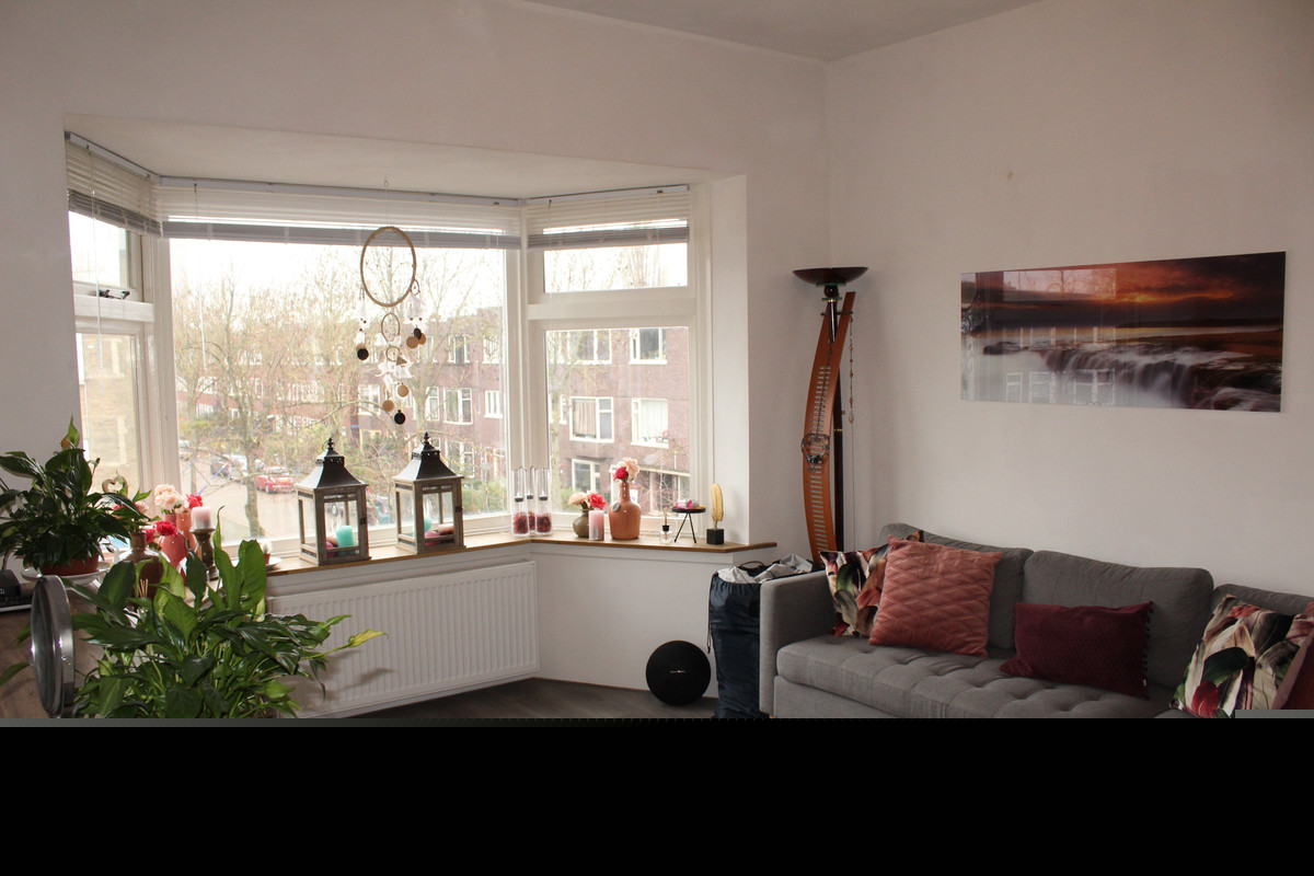 Groningen, Groningen 