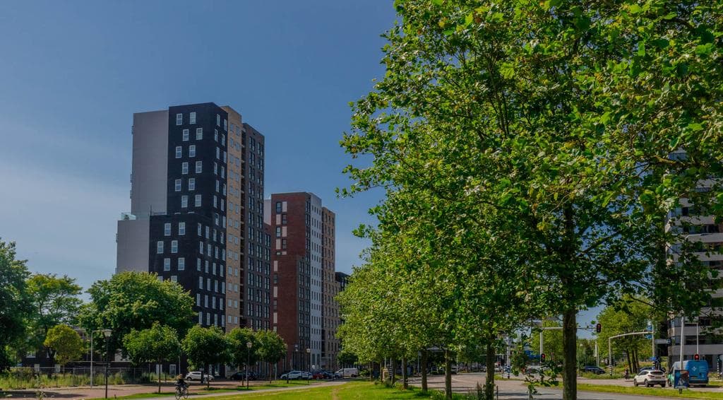 Leiden, South Holland 