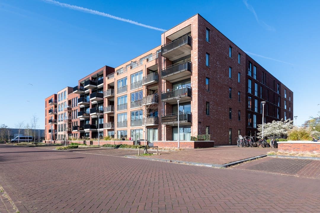 Haarlem, North Holland 