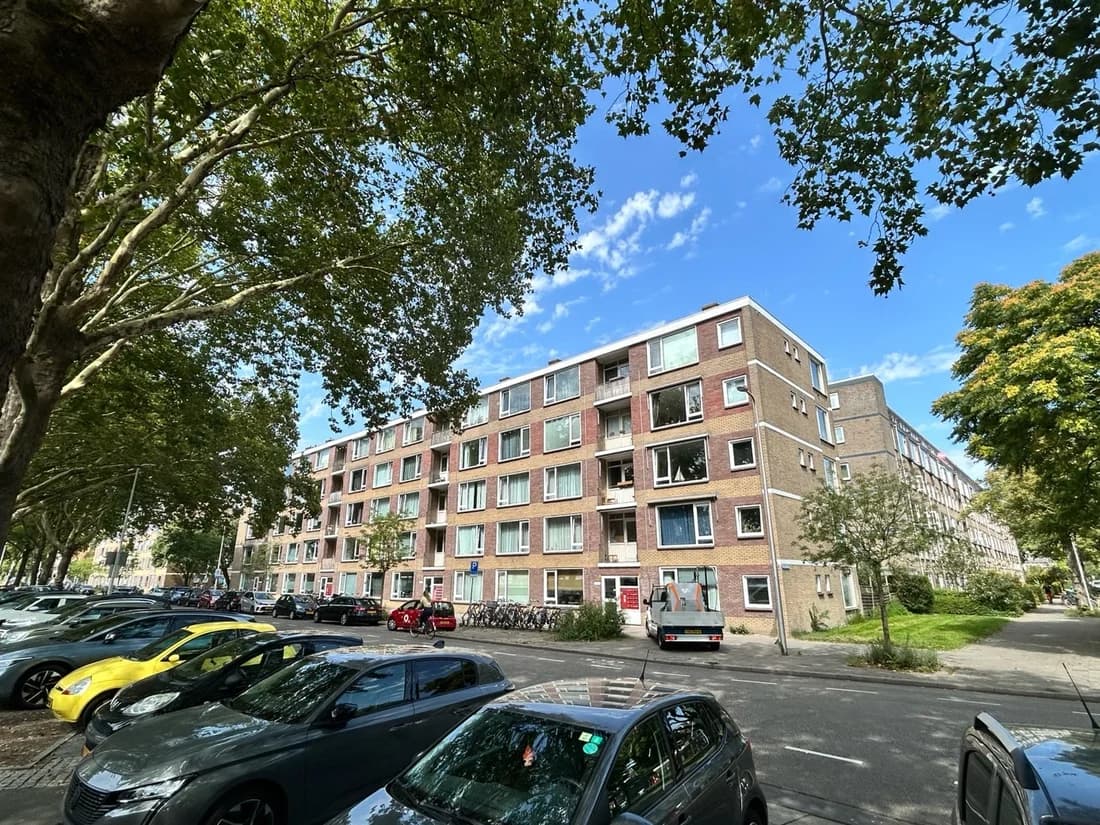Utrecht, Utrecht 