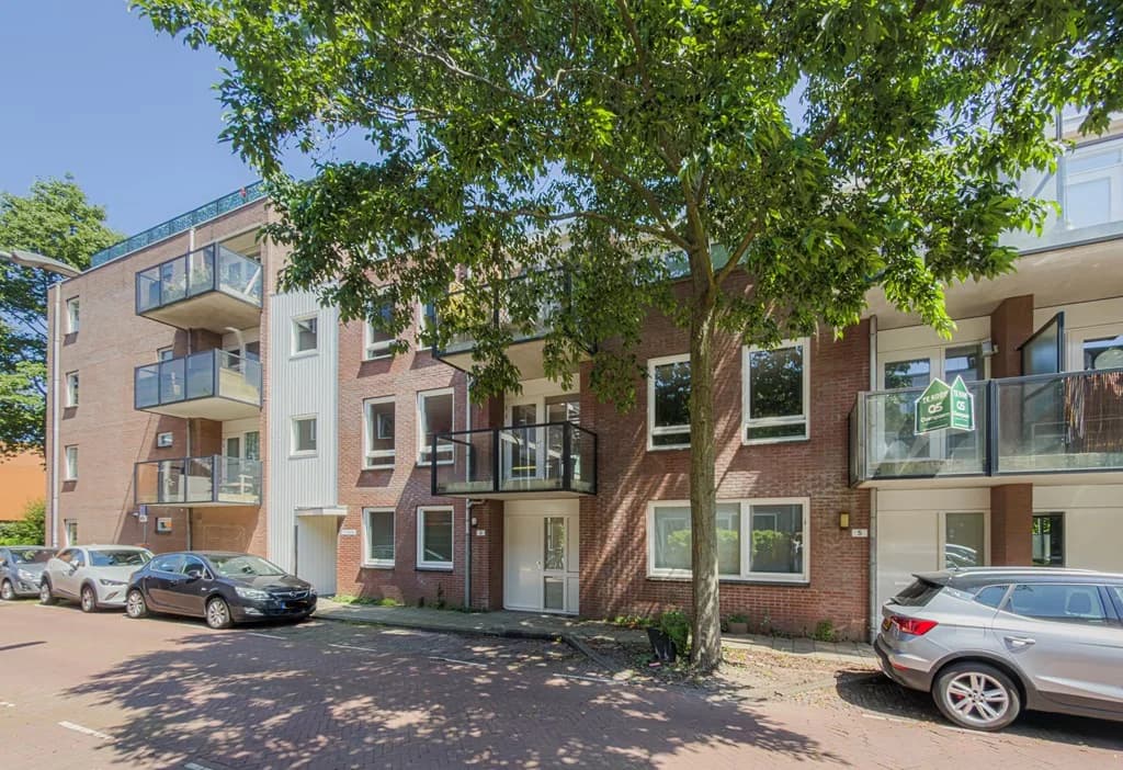 Haarlem, North Holland 