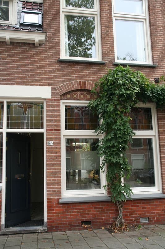 Utrecht, Utrecht 
