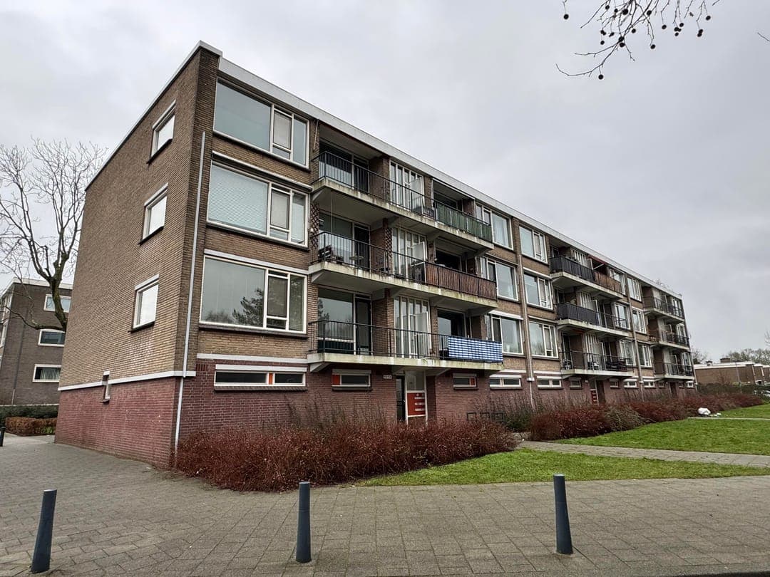 Rotterdam, South Holland 