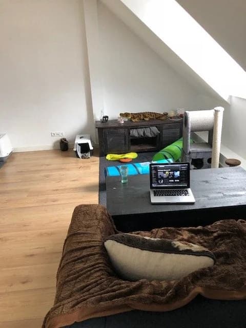 Tilburg, North Brabant 
