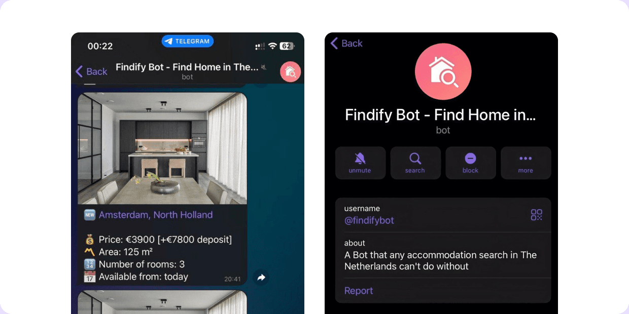 Two screens from the first Findify Telegram bot