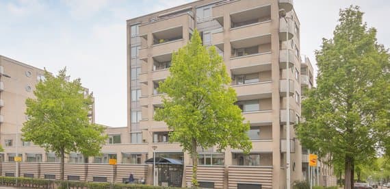 Amsterdam, North Holland 