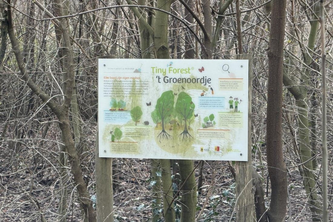 Schiedam, South Holland 