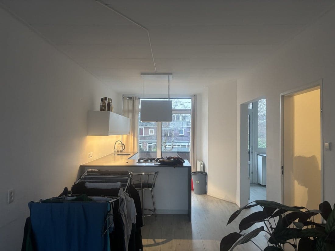 Den Haag, South Holland 