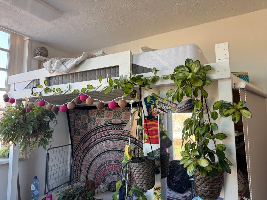 Haarlem, North Holland 