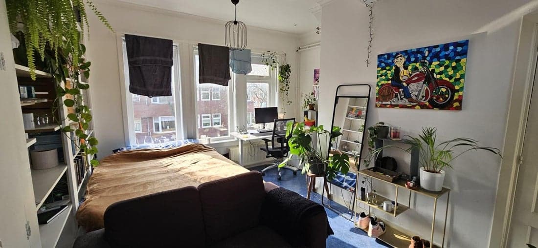 Groningen, Groningen 