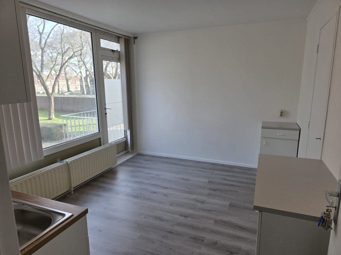 Tilburg, North Brabant 